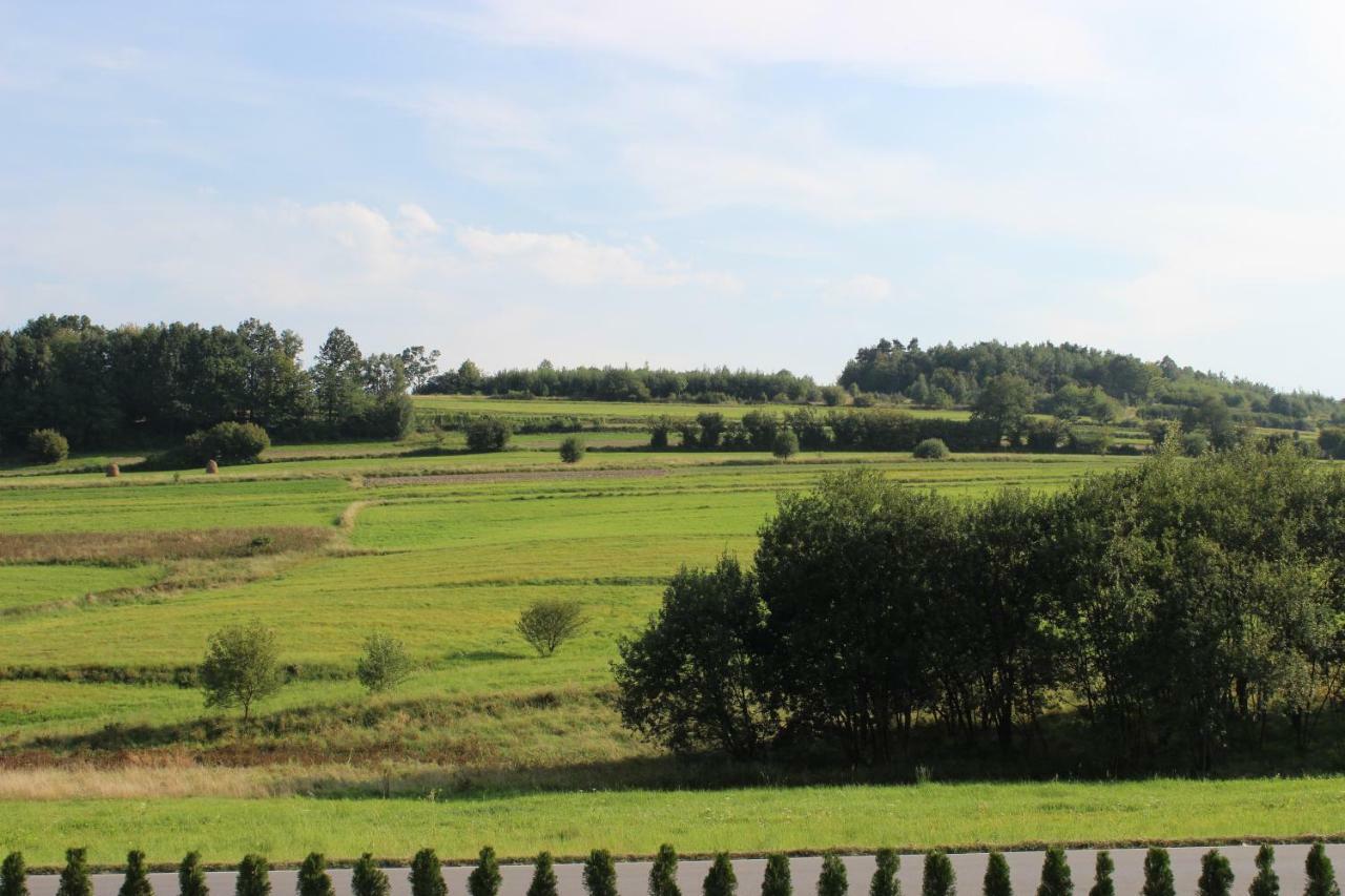 Dwor Bysina Villa Myślenice Exteriör bild
