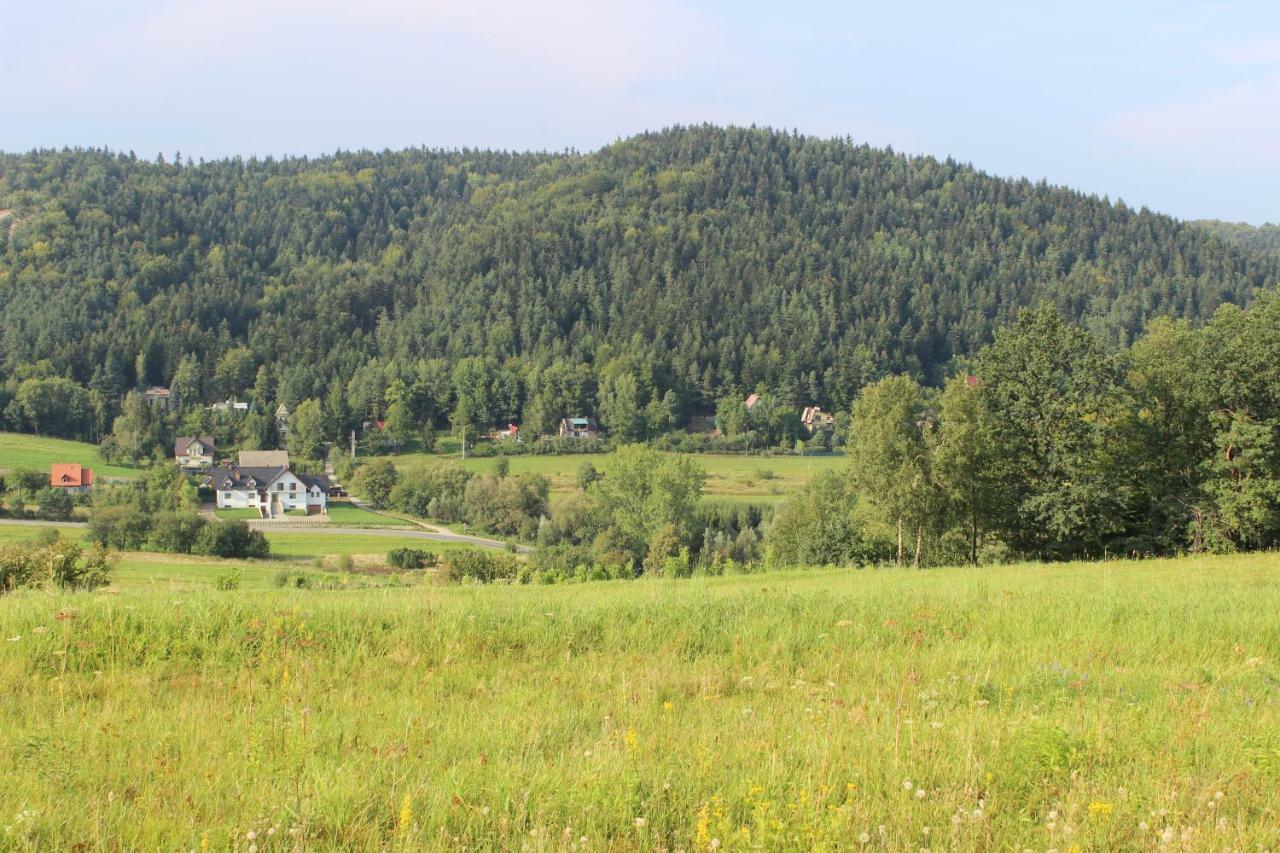 Dwor Bysina Villa Myślenice Exteriör bild